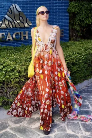 As Seen on Paris Hilton V Neck Designer Long Dress