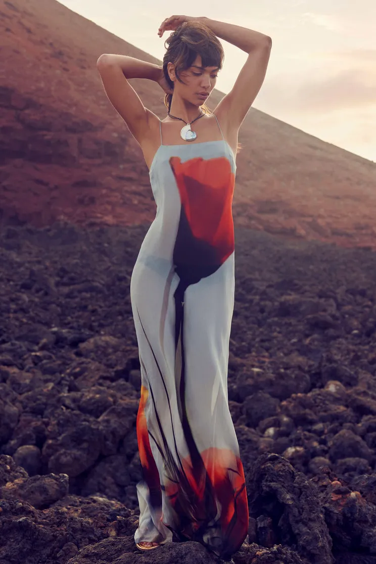 Chloie Spaghetti Rose Printed Maxi Dress
