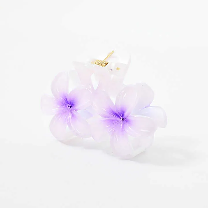 Large Colorful Hair Clips Hair-مشبك شعر ملون