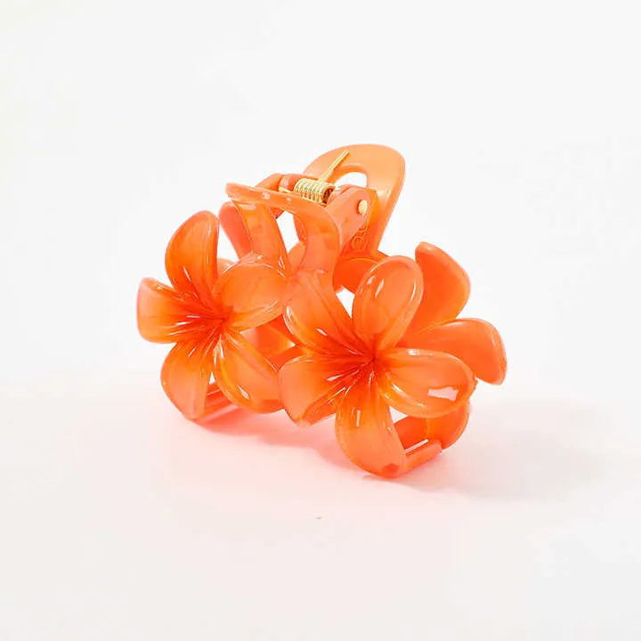 Large Colorful Hair Clips Hair-مشبك شعر ملون