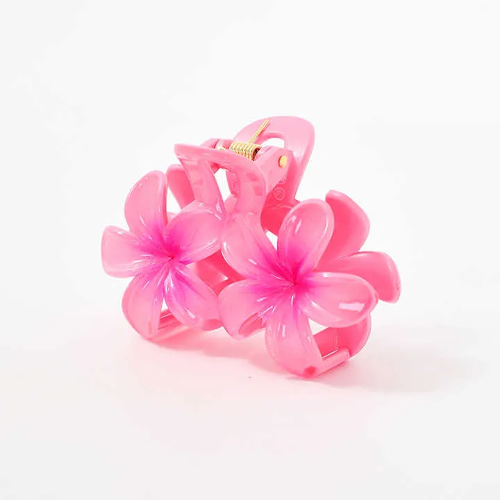 Large Colorful Hair Clips Hair-مشبك شعر ملون