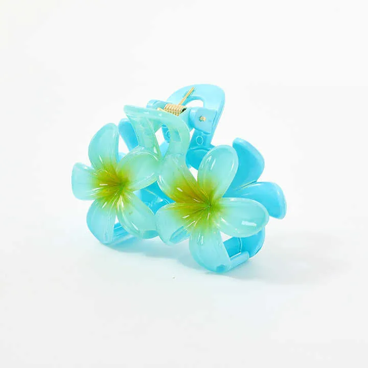 Large Colorful Hair Clips Hair-مشبك شعر ملون