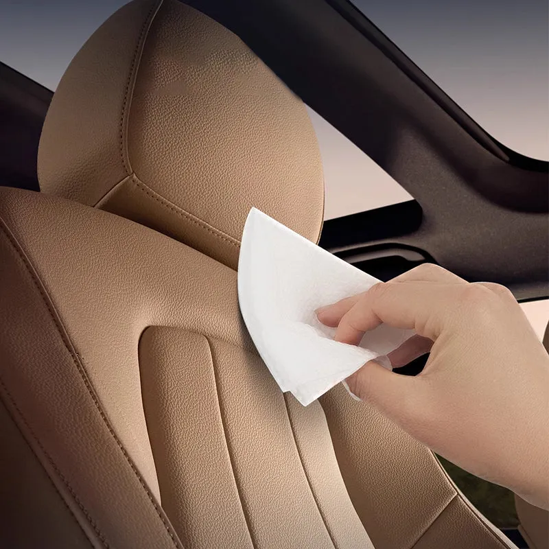 Lasting Shine Protection Car Interior Maintenance Cream