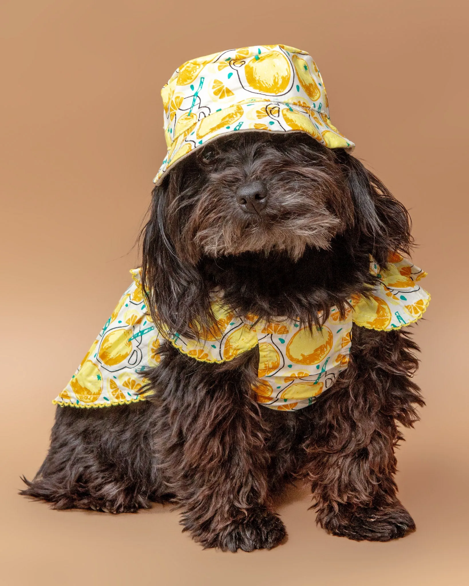 Lemonade Bucket Hat for Dogs << FINAL SALE >>