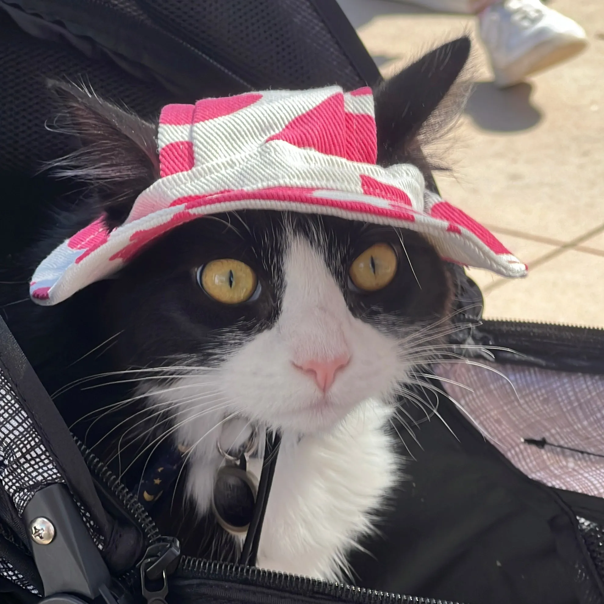 Pet Adjustable Outdoor Sun Hat with Ear Holes for Cats and Dogs