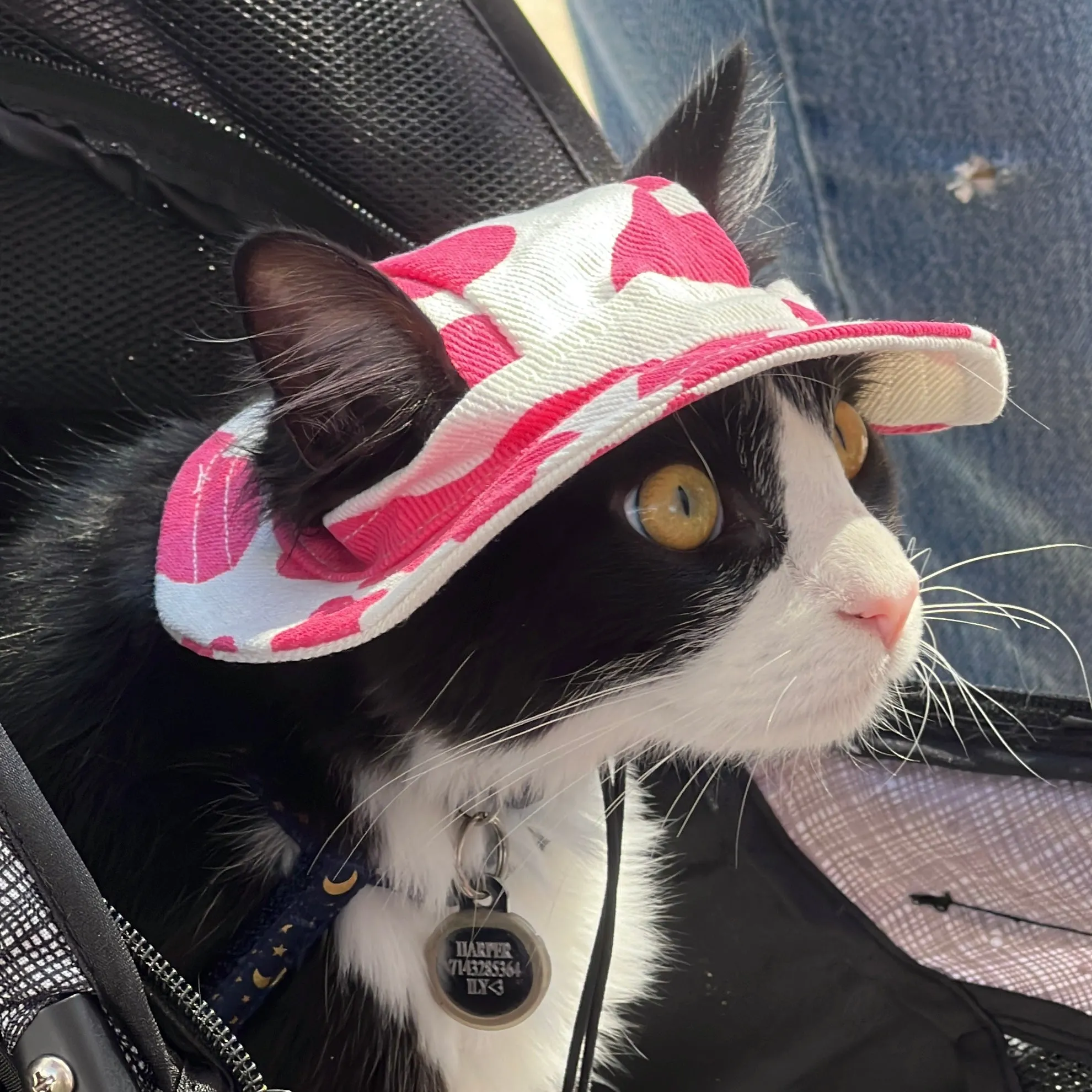 Pet Adjustable Outdoor Sun Hat with Ear Holes for Cats and Dogs