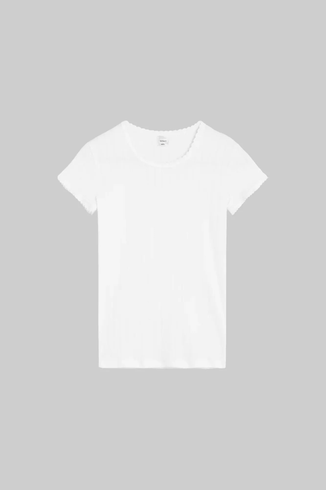 Pointelle Slim Fit Tee White