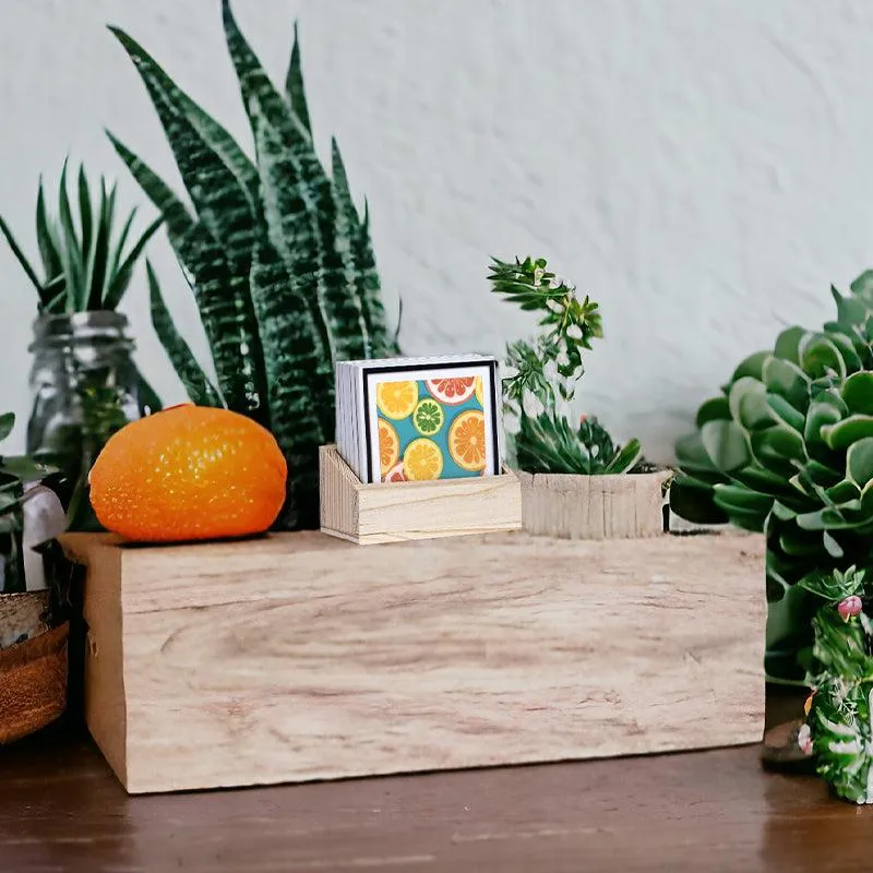 Slice Fruit Coaster - Set Of Six
